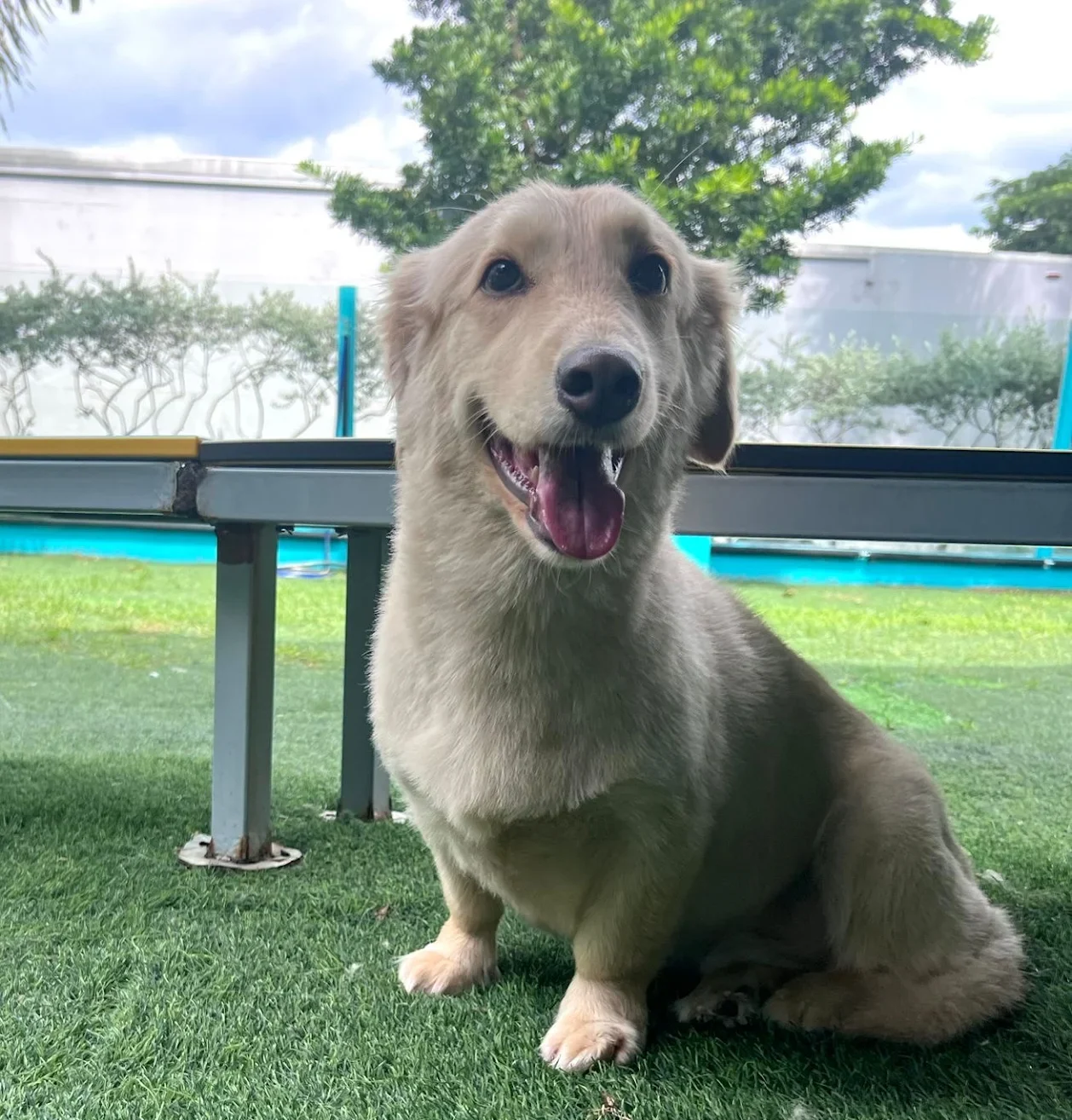 Owner: Angeline De Souza