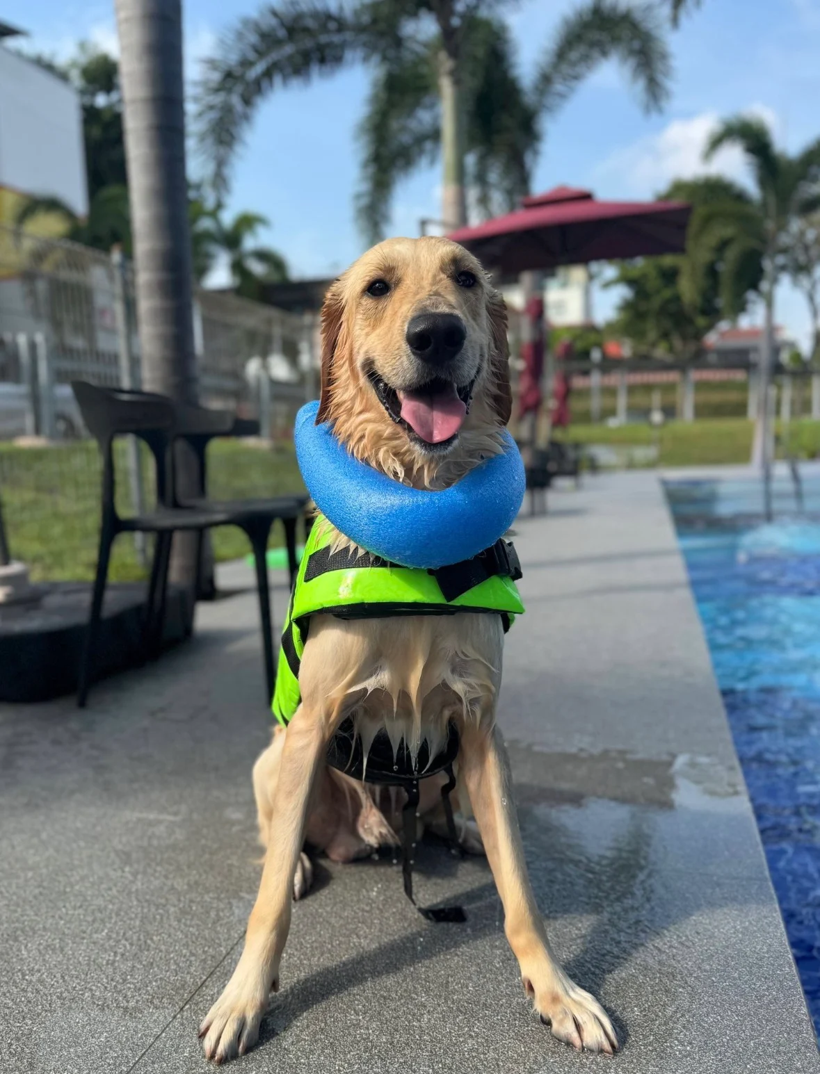 Owner: Geraldine Chua